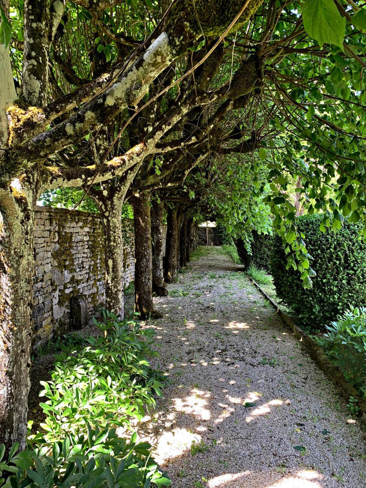Le Clos Du Marronnier Rivieres-les-Fosses Exterior photo